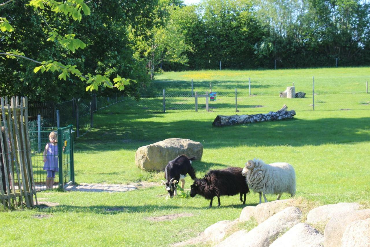 Ostseeferien Am Barfusspark Апартаменты *